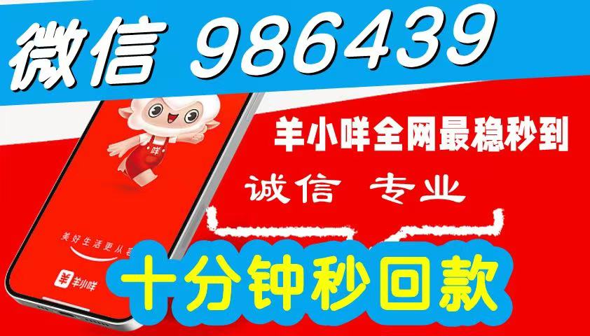 2026 秒到商家一手教程：羊小咩便荔卡包怎么提现的？更新便荔卡包最新套法秒到方式